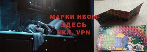 хмурый Абаза