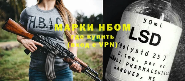 хмурый Абаза