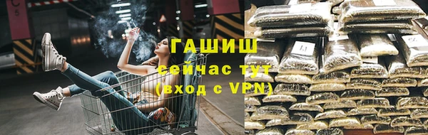 хмурый Абаза