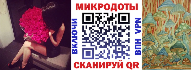 Псилоцибиновые грибы Cubensis  закладки  Усолье 